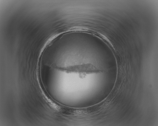 X0000057581379200509231240