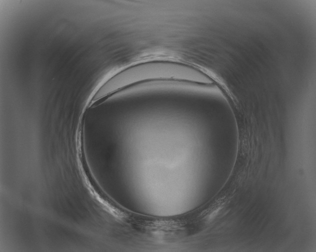 X0000057581383200509231240