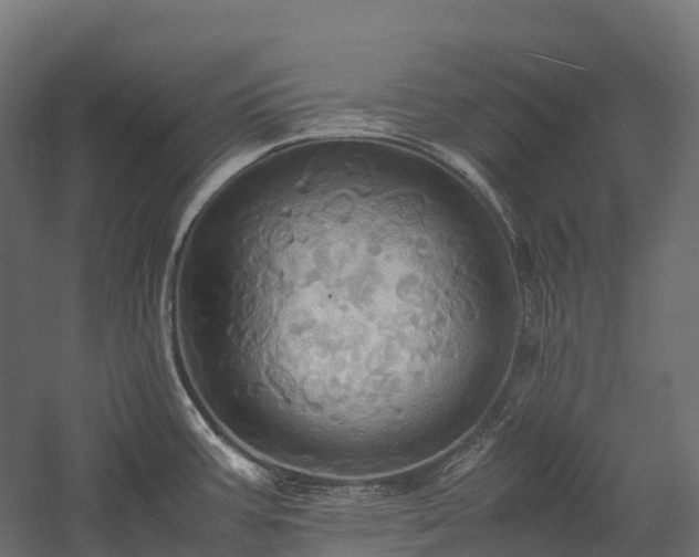 X0000057581387200509231240