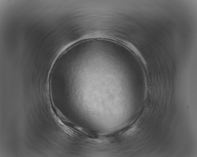 X0000057581388200509231240