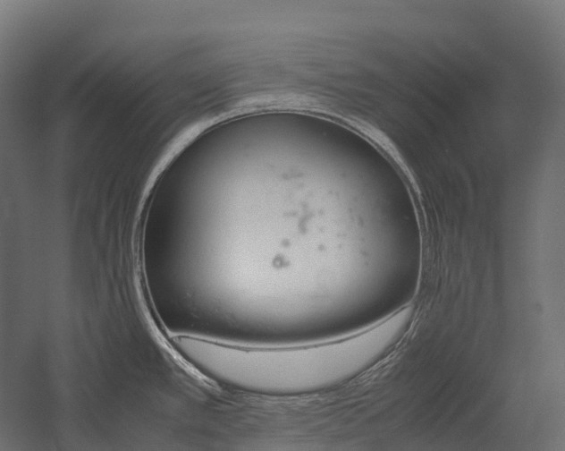 X0000057581389200509231240