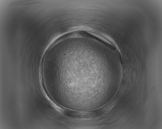 X0000057581391200509231240