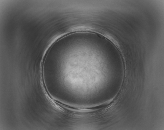 X0000057581392200509231240