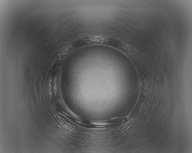 X0000057581394200509231239