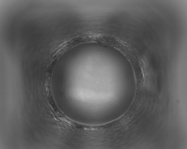 X0000057581397200509231239