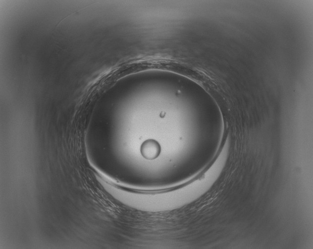 X0000057581398200509231239