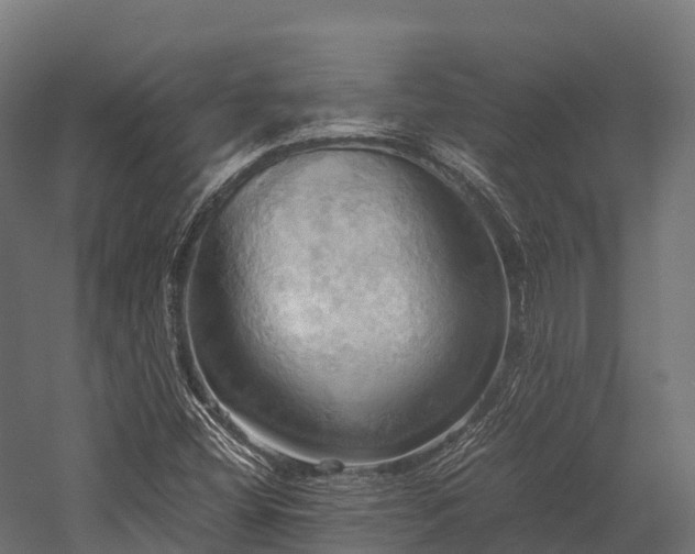 X0000057581404200509231239