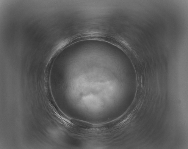 X0000057581405200509231239