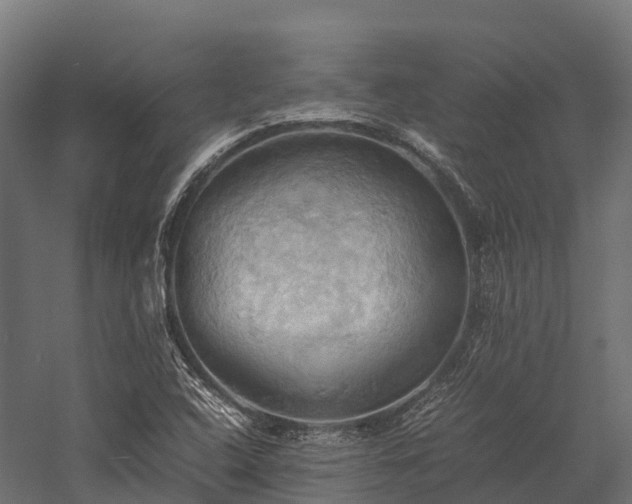 X0000057581408200509231239