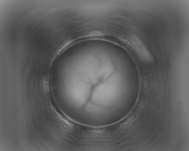 X0000057581409200509231239