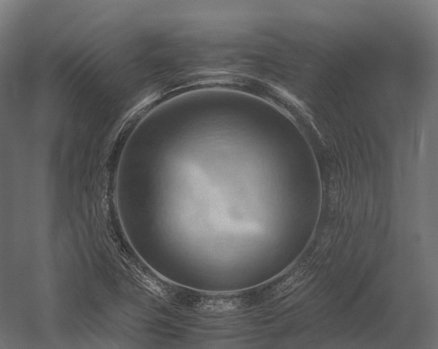 X0000057581411200509231240