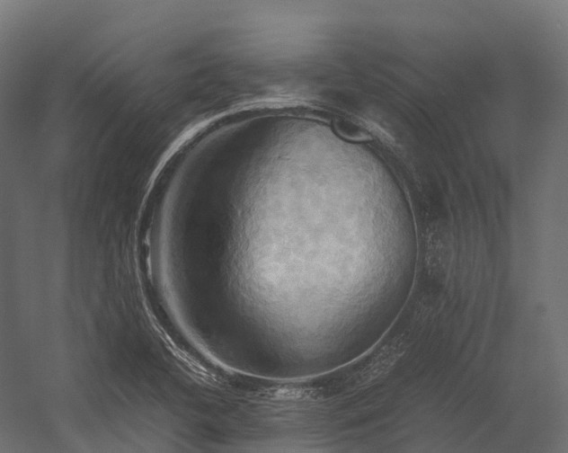 X0000057581412200509231240