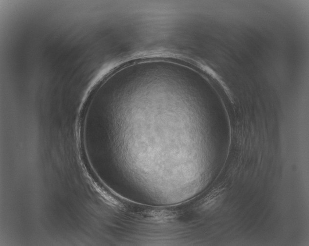 X0000057581416200509231240