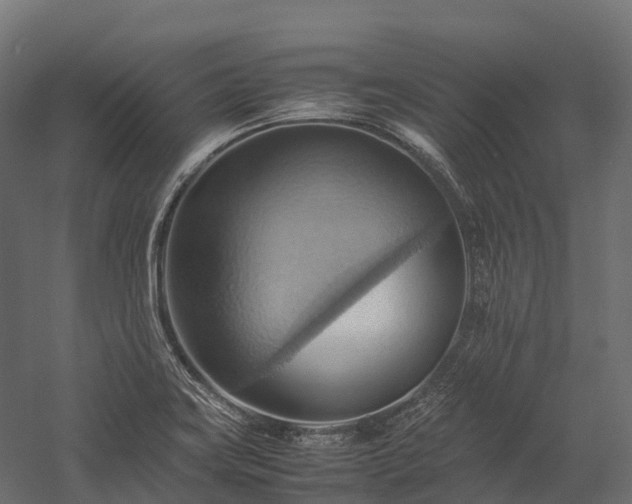 X0000057581419200509231240