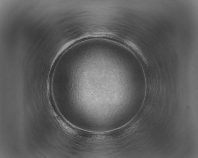 X0000057581420200509231240