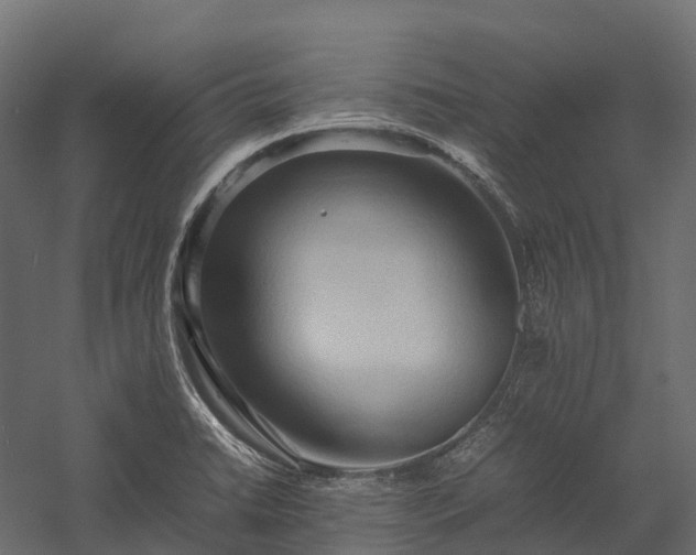 X0000057581422200509231240