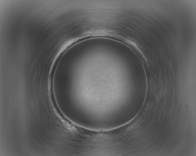 X0000057581424200509231240