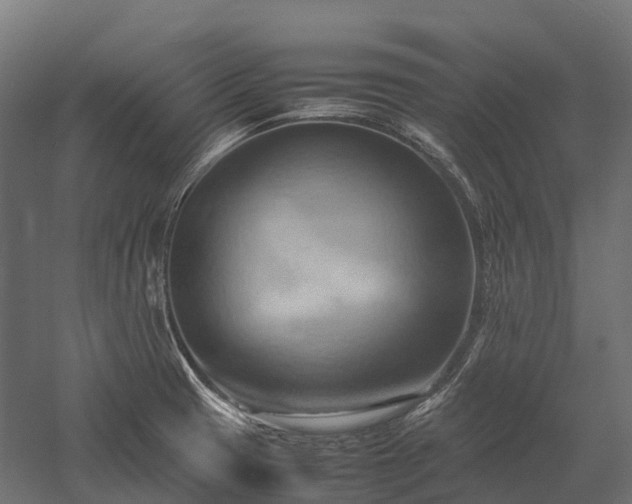 X0000057581425200509231240