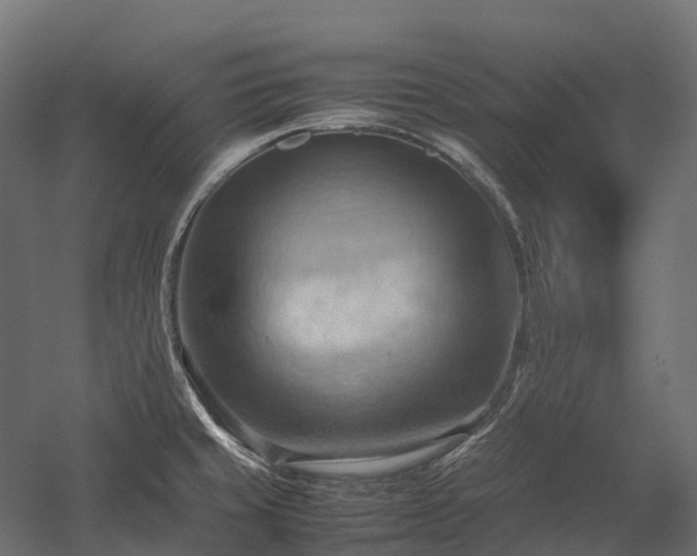 X0000057581429200509231240