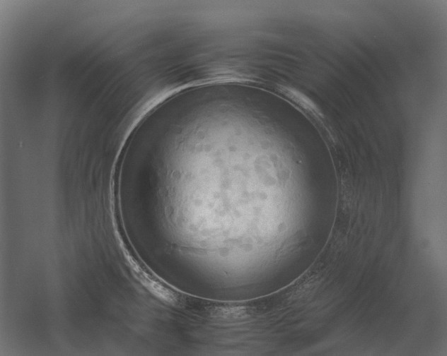 X0000057581431200509231240