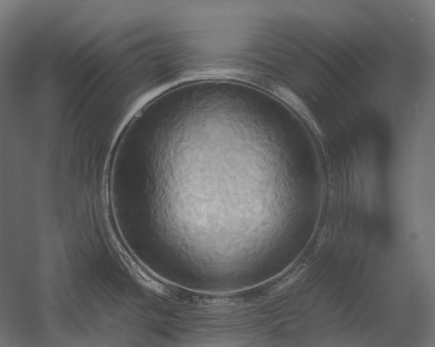 X0000057581436200509231240