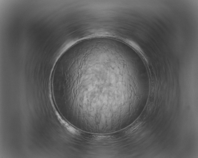 X0000057581439200509231240