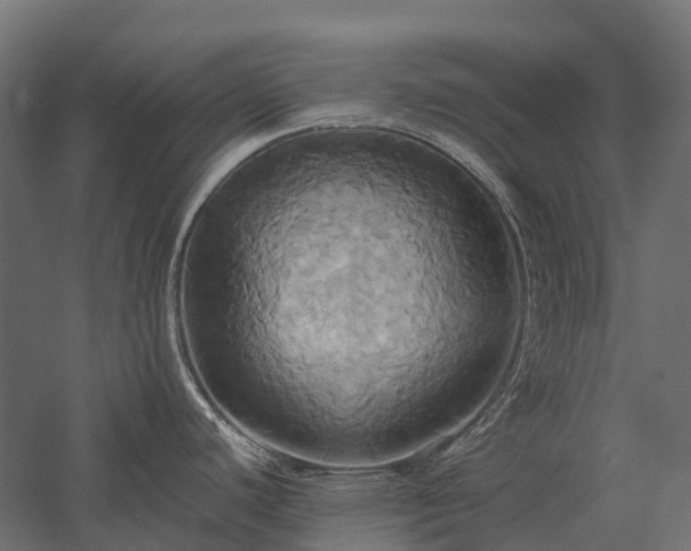 X0000057581440200509231240