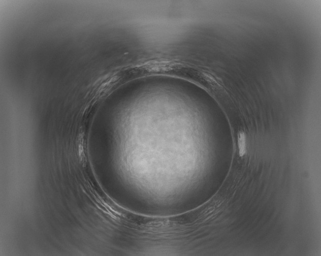 X0000057581444200509231239