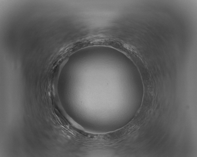 X0000057581445200509231239