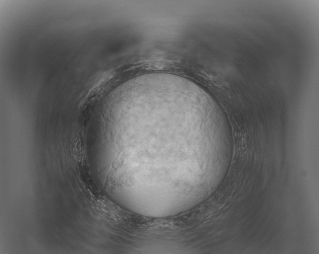 X0000057581446200509231239