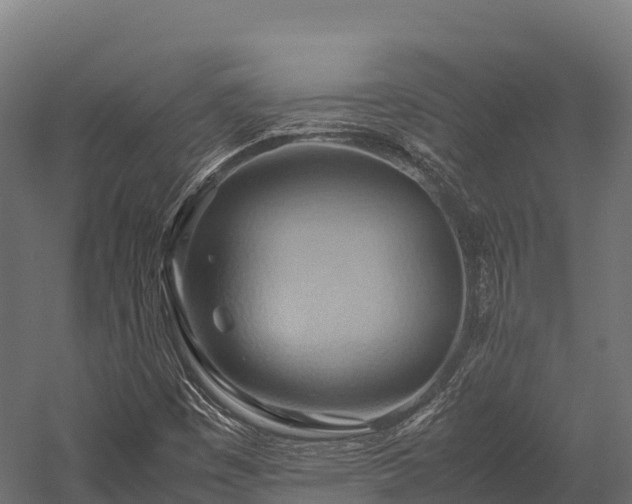 X0000057581449200509231239