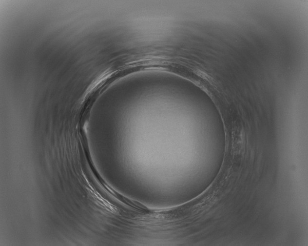 X0000057581450200509231239