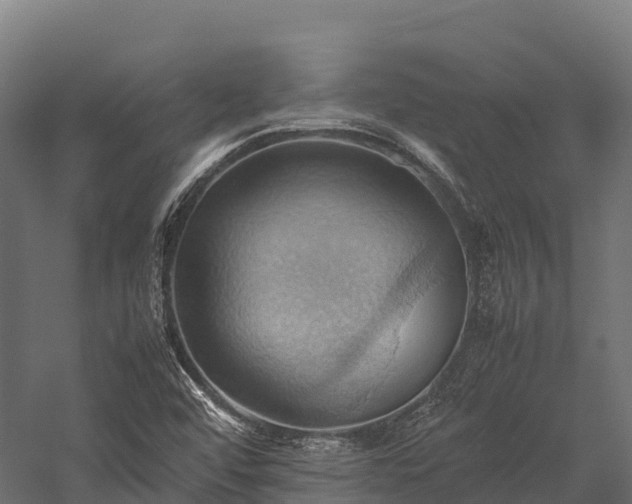 X0000057581456200509231239