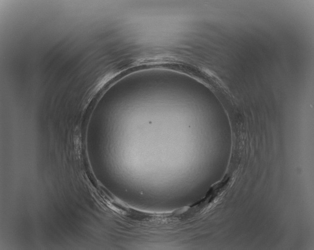 X0000057581457200509231239