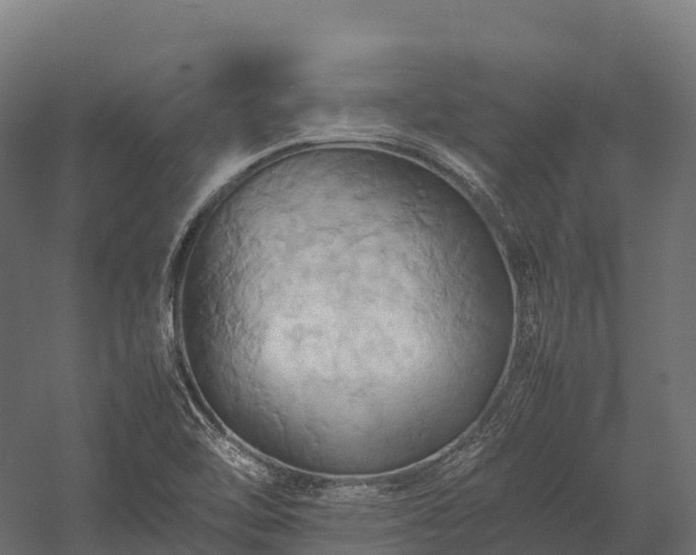 X0000057581462200509231239