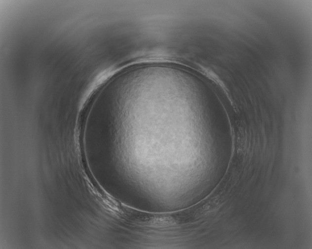 X0000057581464200509231239