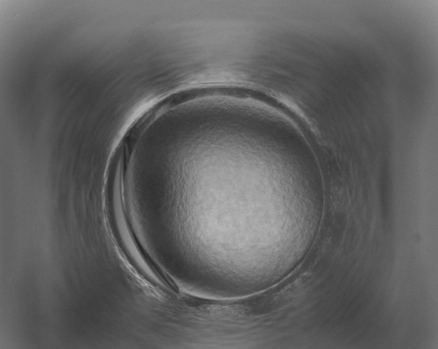 X0000057581469200509231239