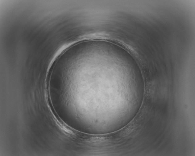 X0000057581470200509231239