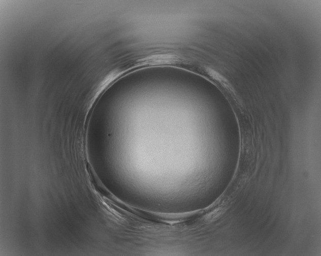 X0000057581473200509231239