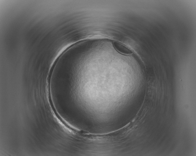 X0000057581476200509231239