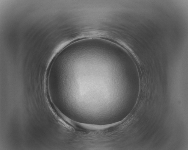 X0000057581477200509231239