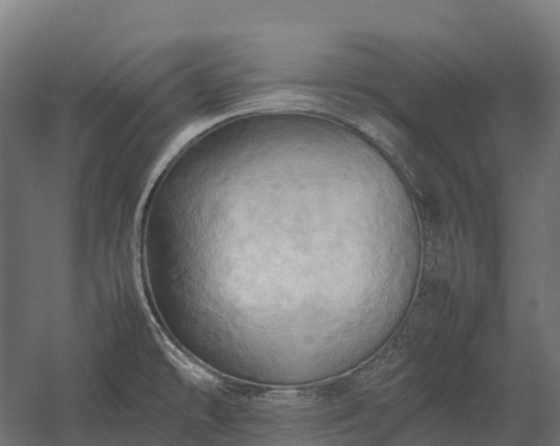 X0000057581478200509231239