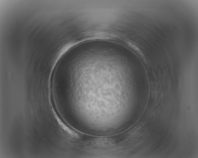 X0000057581479200509231239