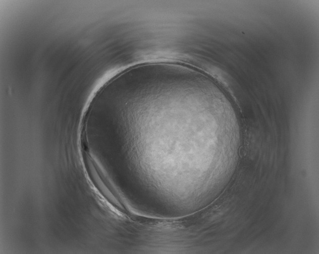 X0000057581480200509231239