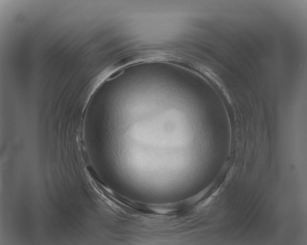 X0000057581481200509231239