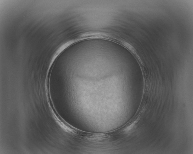 X0000057581482200509231238