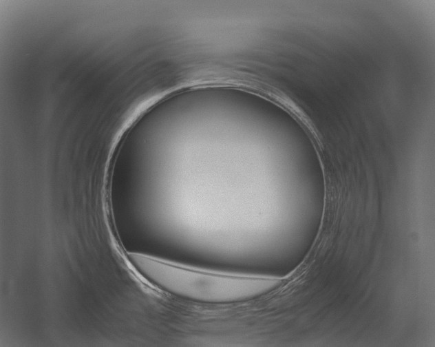 X0000057581485200509231238