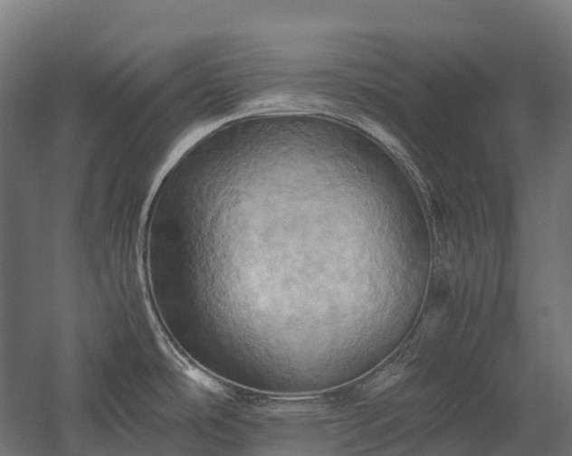 X0000057581486200509231238