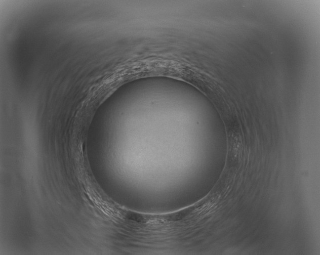 X0000057581489200509231238