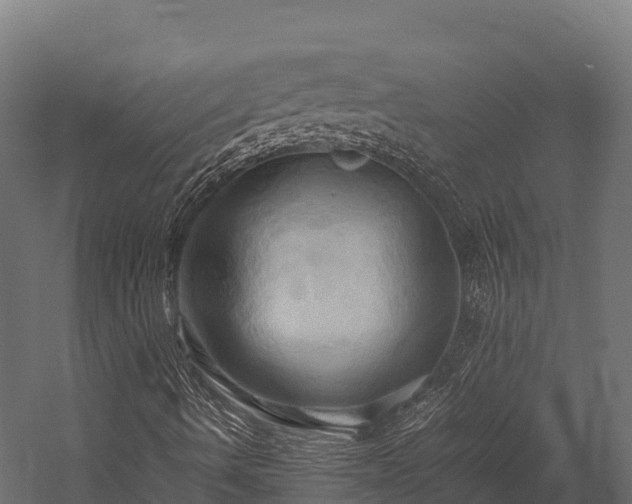 X0000057581490200509231238